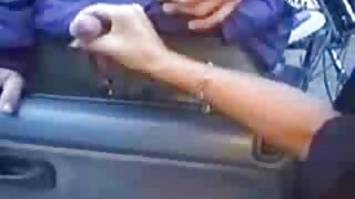 ხალისიანი ჭუჭყიანი შ ...