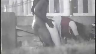 სექსუალური კოხტა ბეი ...